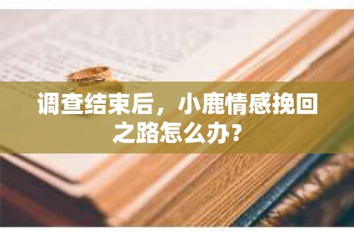 调查结束后，小鹿情感挽回之路怎么办？