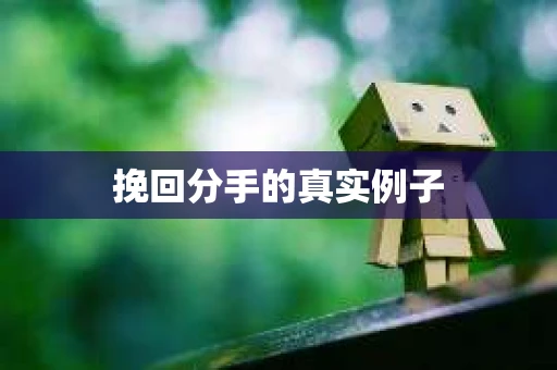 挽回分手的真实例子