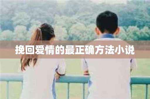 挽回爱情的最正确方法小说