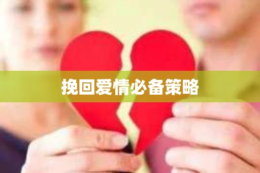 挽回爱情必备策略
