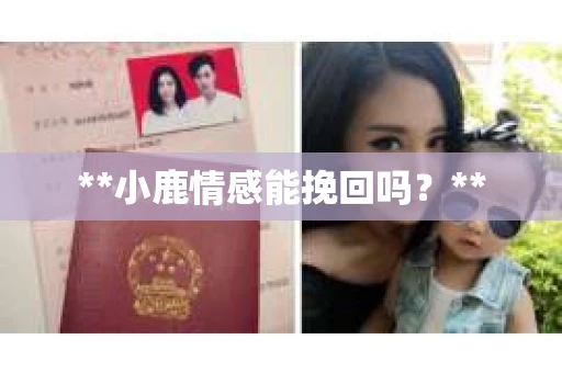 **小鹿情感能挽回吗？**