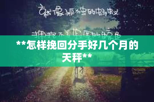 **怎样挽回分手好几个月的天秤**