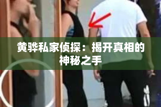 黄骅私家侦探：揭开真相的神秘之手