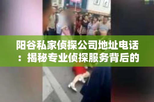 阳谷私家侦探公司地址电话：揭秘专业侦探服务背后的故事