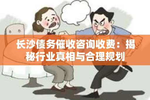长沙债务催收咨询收费：揭秘行业真相与合理规划