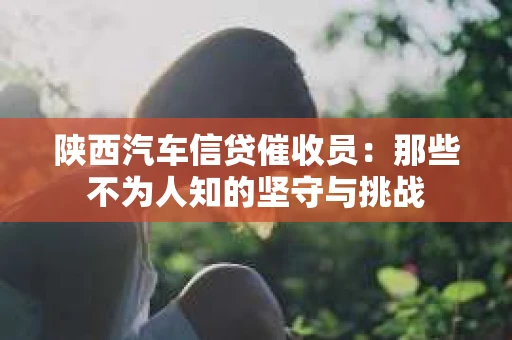陕西汽车信贷催收员：那些不为人知的坚守与挑战
