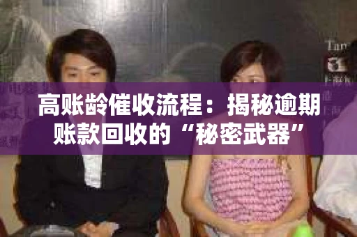 高账龄催收流程：揭秘逾期账款回收的“秘密武器”