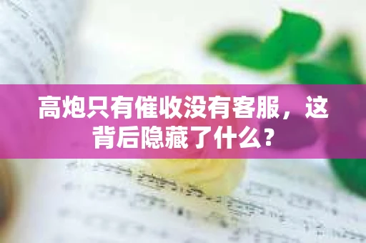 高炮只有催收没有客服，这背后隐藏了什么？