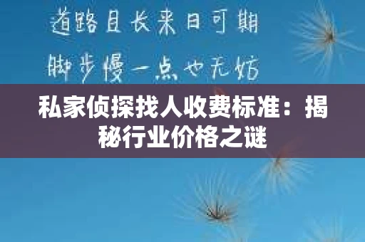 私家侦探找人收费标准：揭秘行业价格之谜