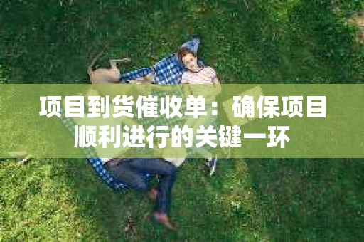 项目到货催收单：确保项目顺利进行的关键一环