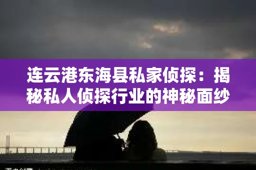 连云港东海县私家侦探：揭秘私人侦探行业的神秘面纱