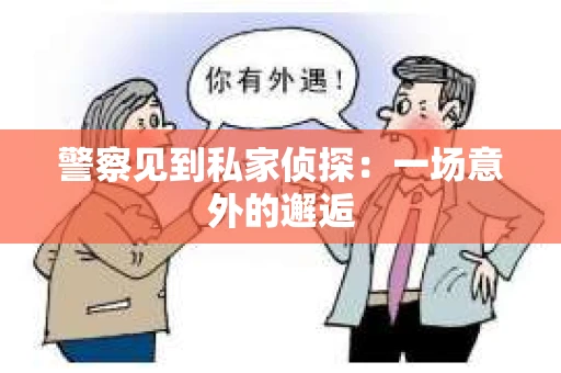 警察见到私家侦探：一场意外的邂逅