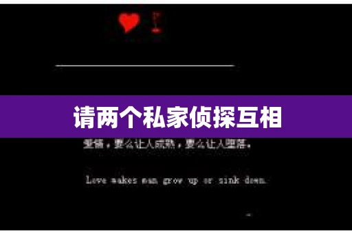 请两个私家侦探互相