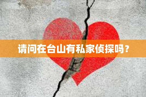 请问在台山有私家侦探吗？