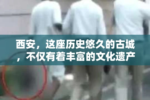 西安，这座历史悠久的古城，不仅有着丰富的文化遗产，也有着现代社会的各种需求。今天，我们就来聊聊一个比较特别的话题——西安有没有私家侦探。