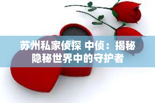 苏州私家侦探 中侦：揭秘隐秘世界中的守护者