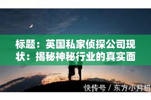 标题：英国私家侦探公司现状：揭秘神秘行业的真实面貌