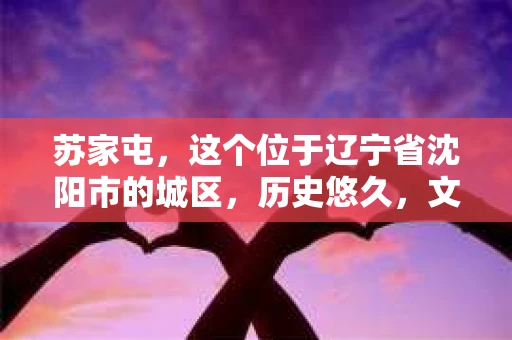 苏家屯，这个位于辽宁省沈阳市的城区，历史悠久，文化底蕴深厚。近年来，随着社会的发展，人们对于私家侦探的需求也逐渐增加。那么，苏家屯有私家侦探吗？今天，我们就来聊聊这个话题。