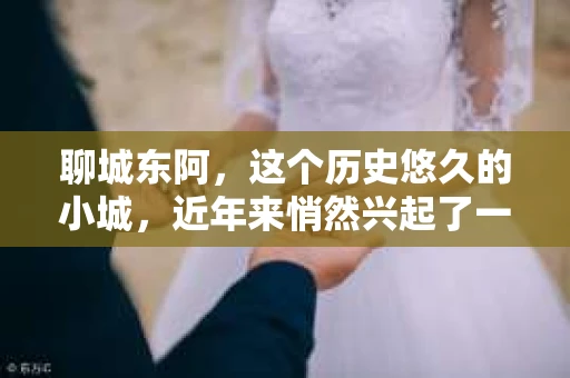 聊城东阿，这个历史悠久的小城，近年来悄然兴起了一股新的服务潮流——私家侦探。今天，我们就来聊聊这个话题，看看在聊城东阿，私家侦探是如何成为人们生活中的一部分的。
