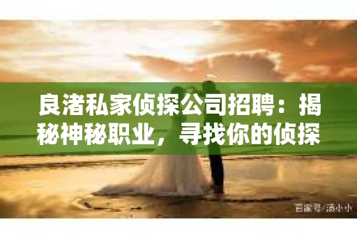 良渚私家侦探公司招聘：揭秘神秘职业，寻找你的侦探梦