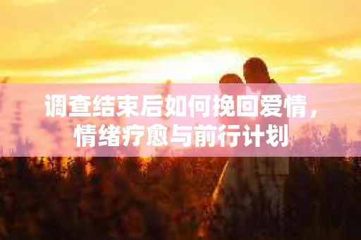 调查结束后如何挽回爱情,情绪疗愈与前行计划 调查结束后如何挽回爱情,情绪疗愈与前行计划