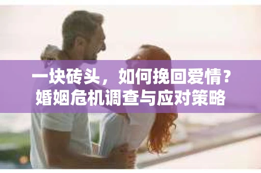 一块砖头，如何挽回爱情？婚姻危机调查与应对策略