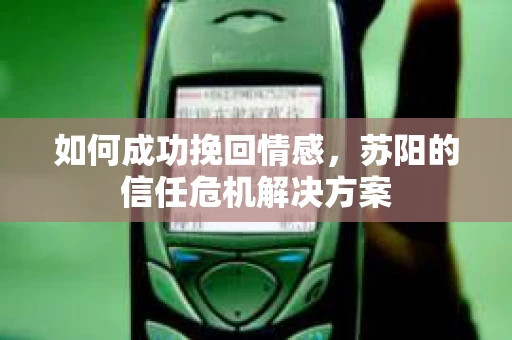 如何成功挽回情感，苏阳的信任危机解决方案