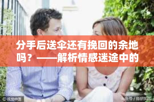 分手后送伞还有挽回的余地吗？——解析情感迷途中的决策