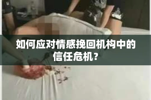 如何应对情感挽回机构中的信任危机？