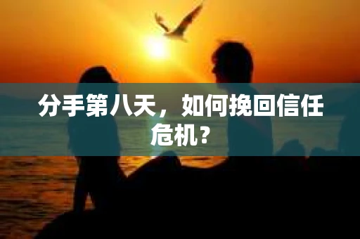 分手第八天，如何挽回信任危机？